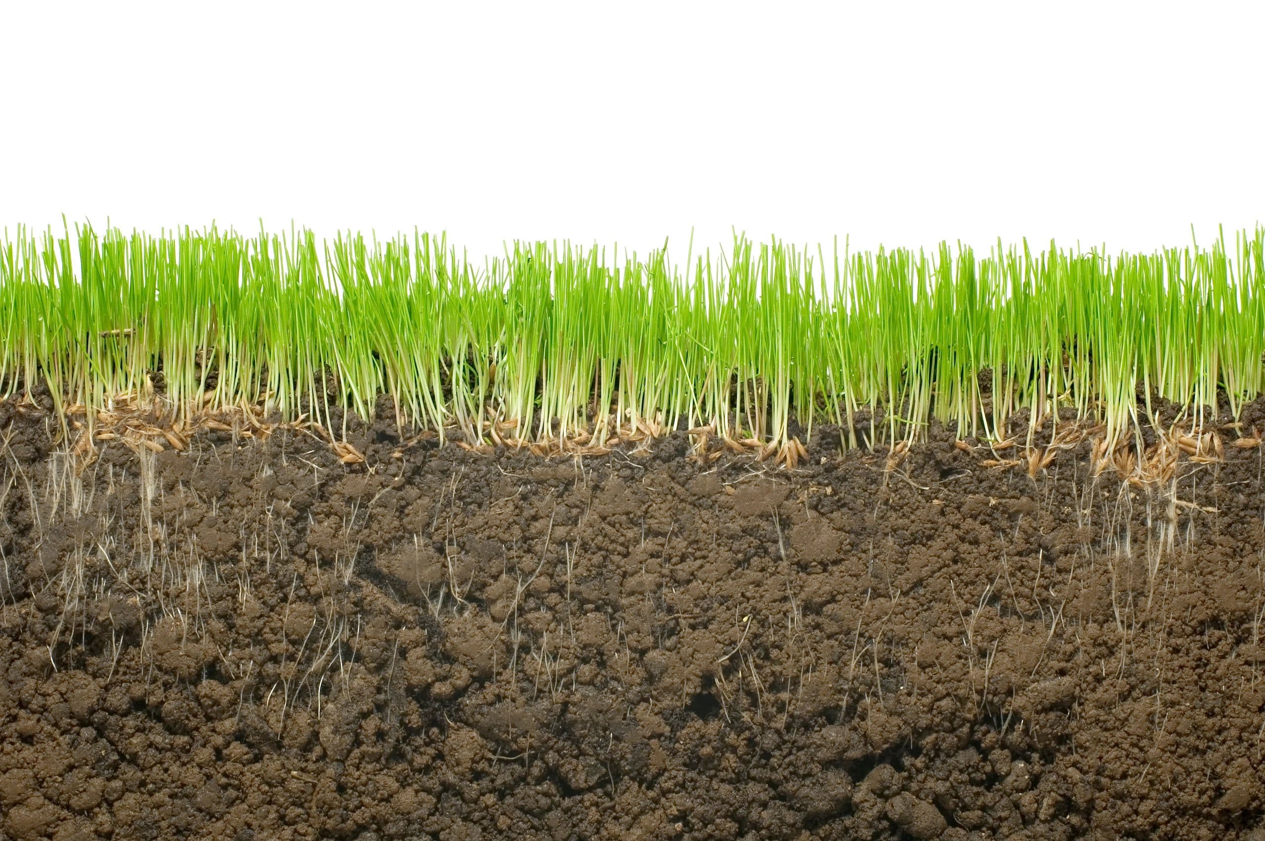 Aeration