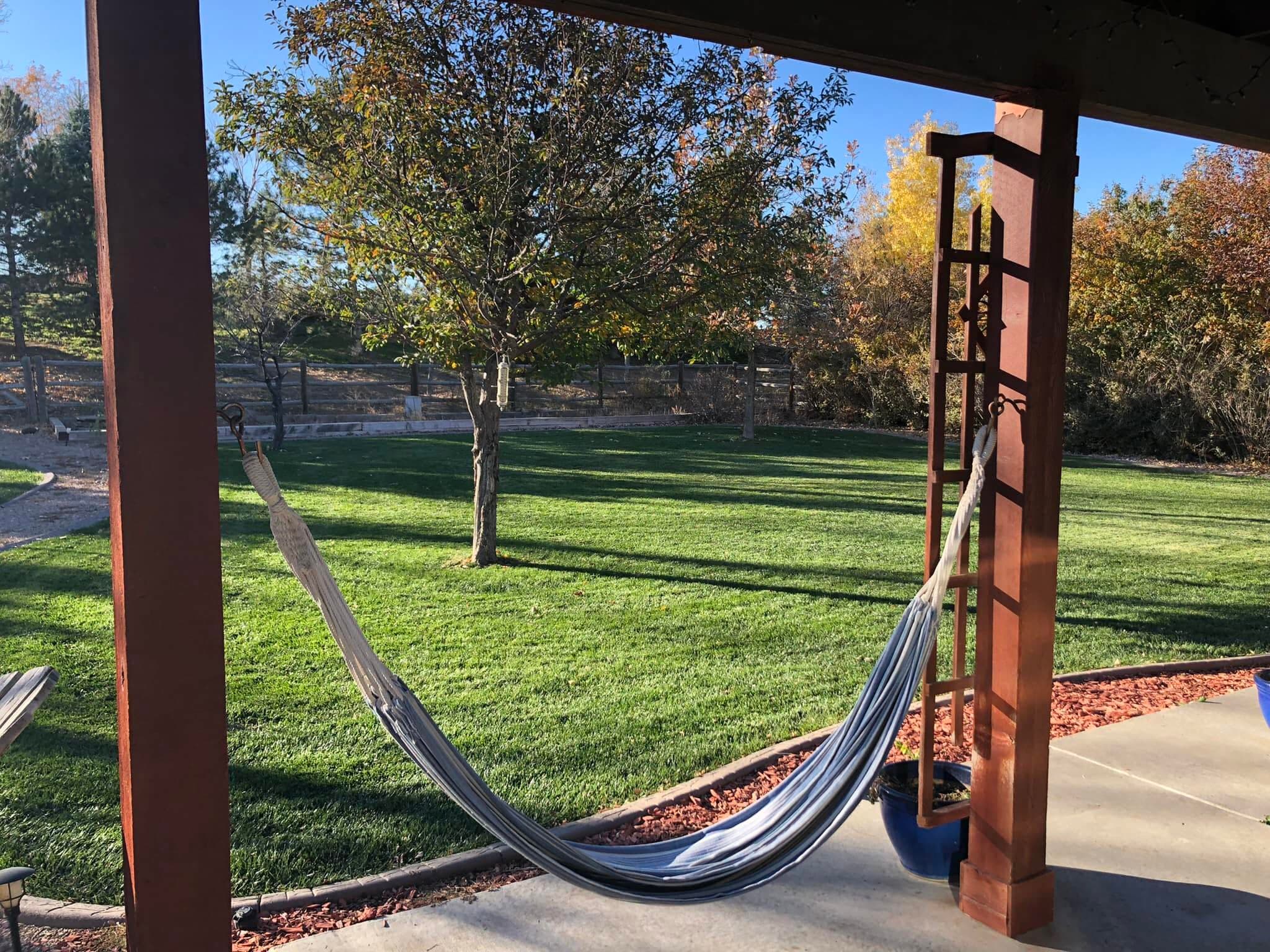 Well-maintained lawn through pergola