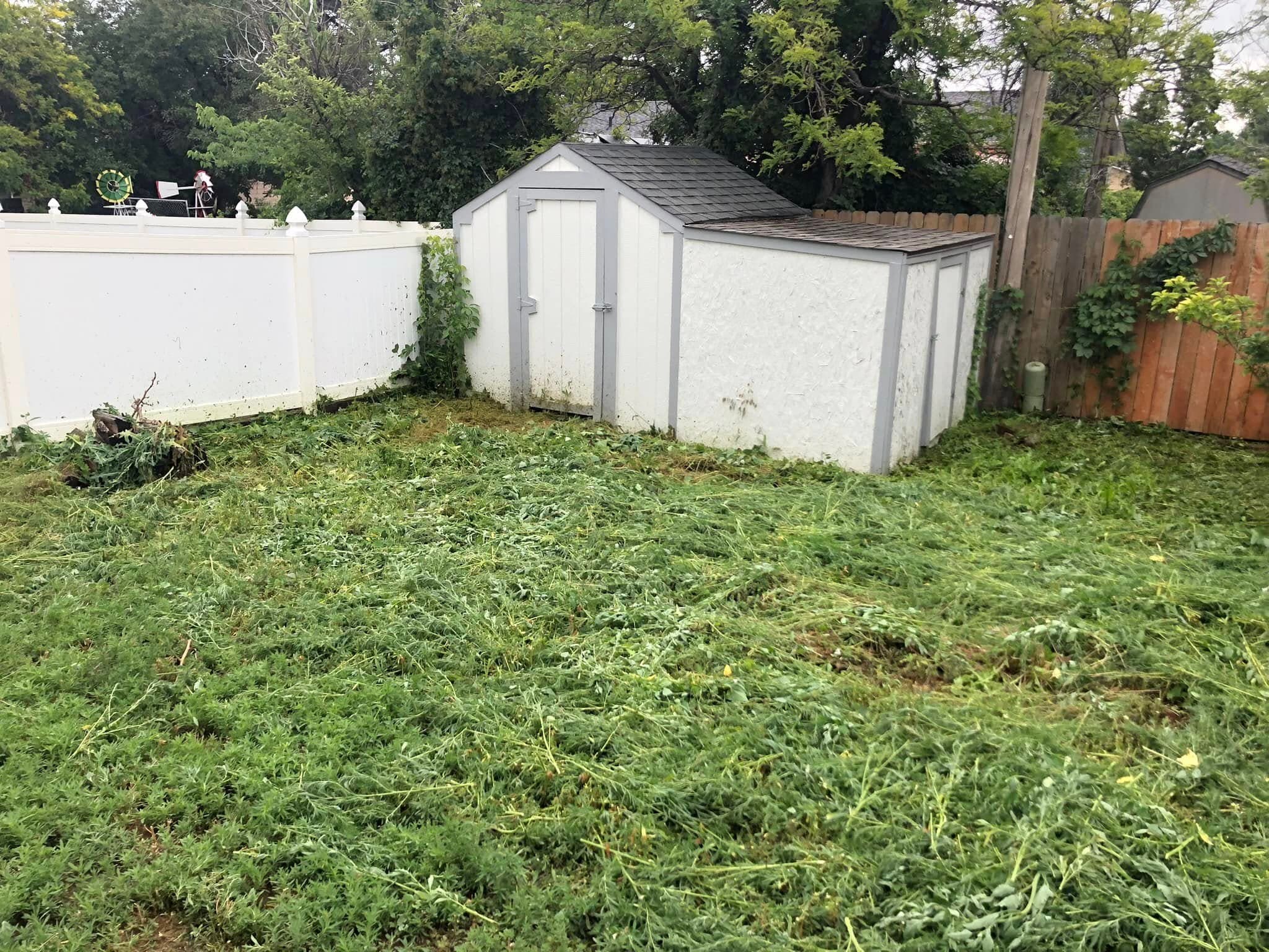 Thick green lawn around white storage shed with fencing