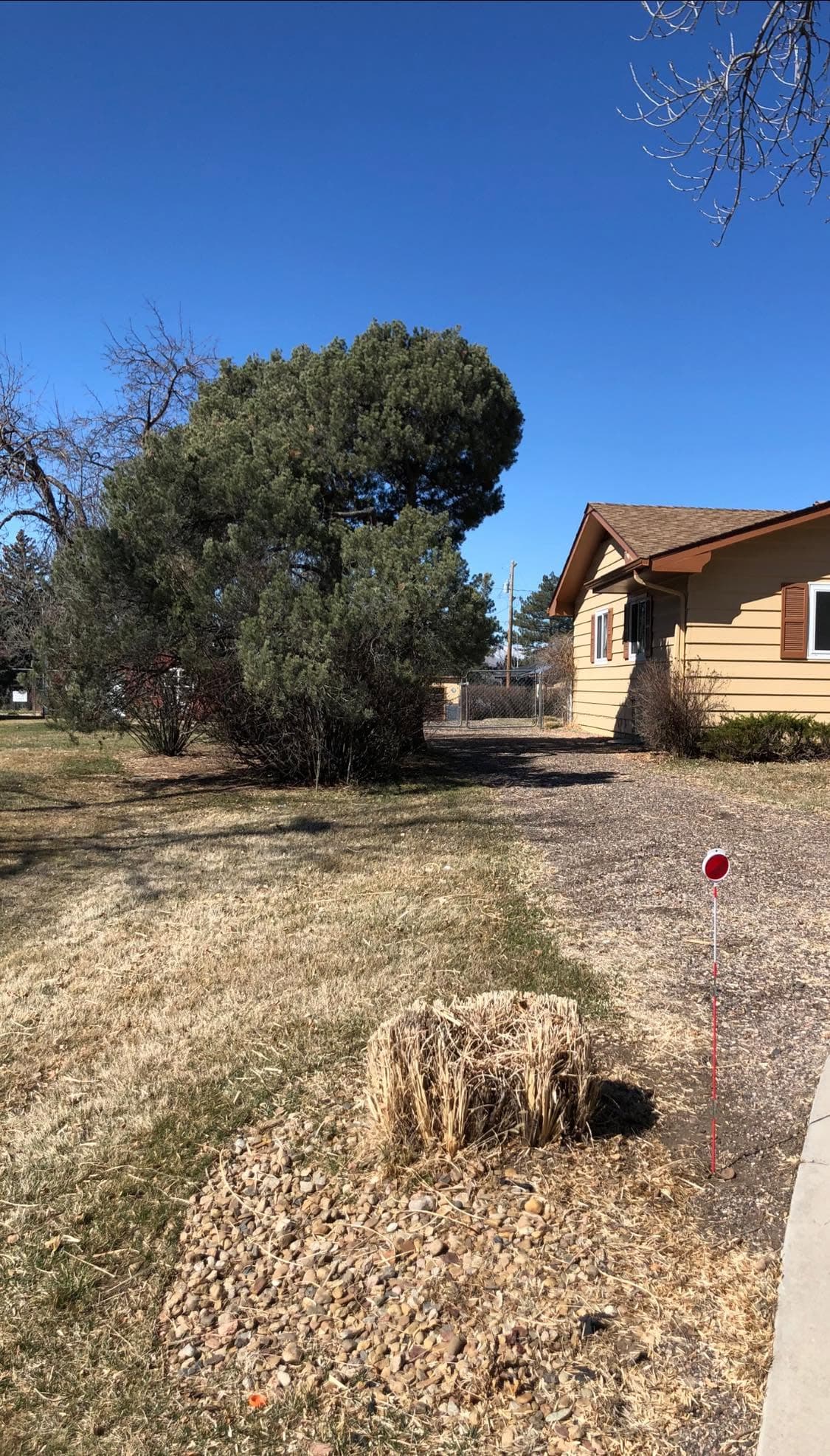 Completed tree removal and yard clearing work